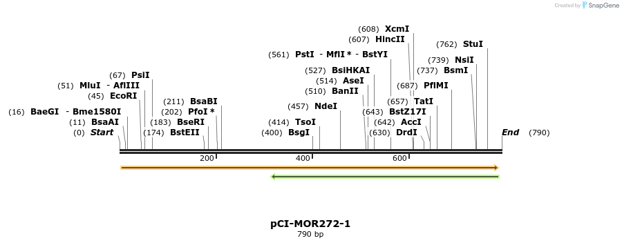 28210_map