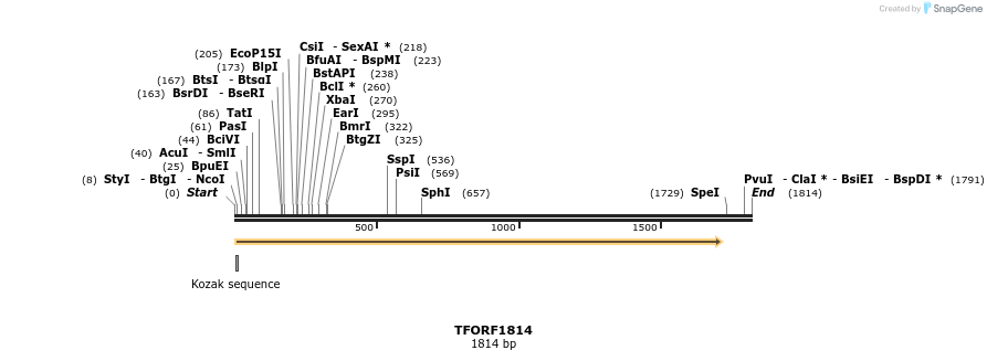 282101_map