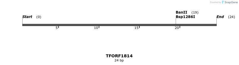 282102_map