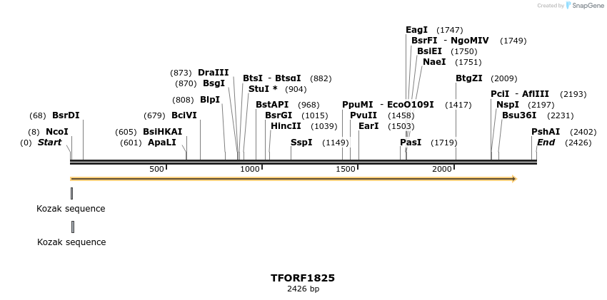 282104_map