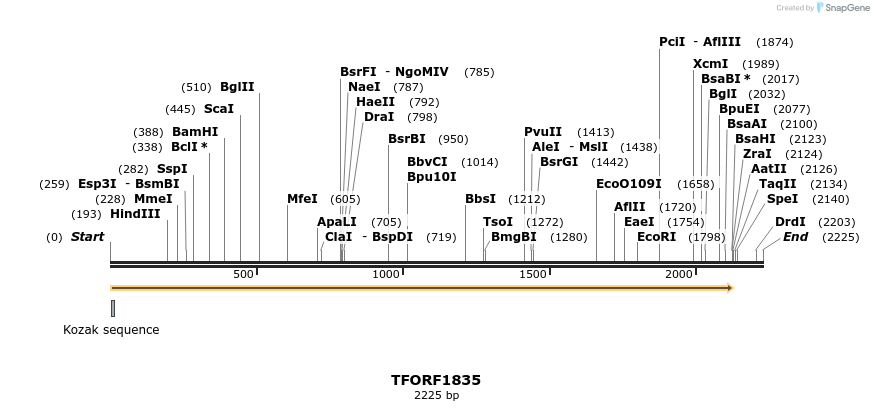 282107_map