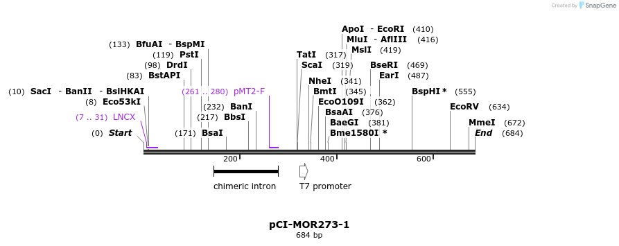 28211_map