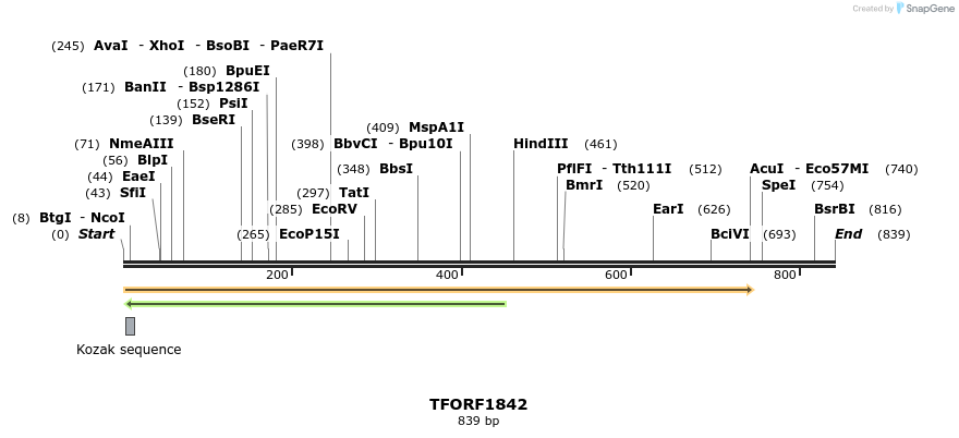 282110_map