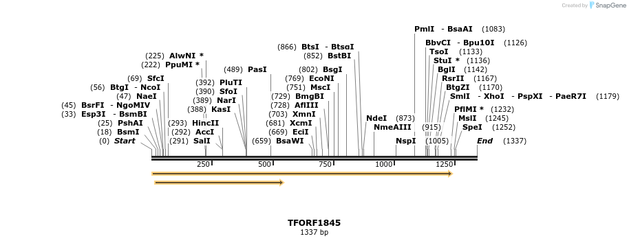 282113_map