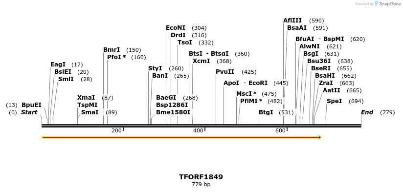 282116_map