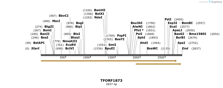 282122_map
