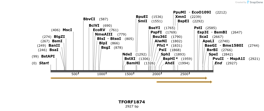 282125_map