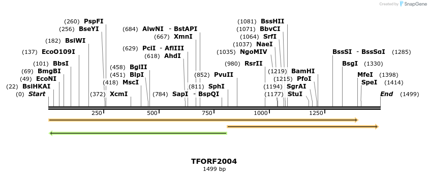 282128_map