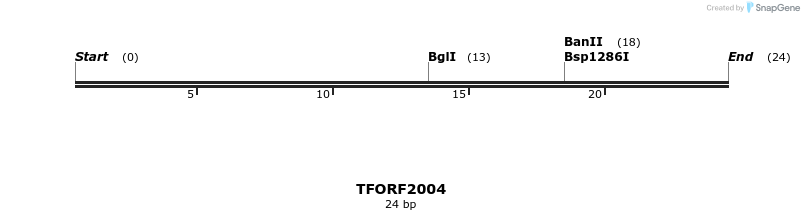 282129_map