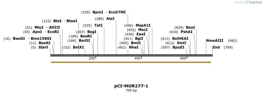 28213_map