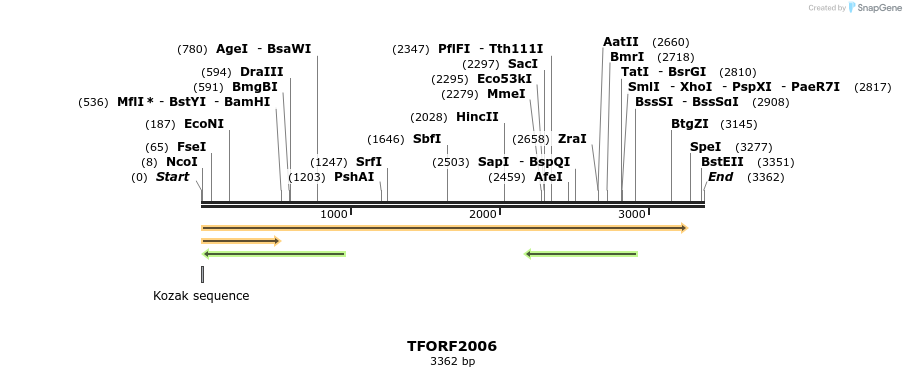 282131_map