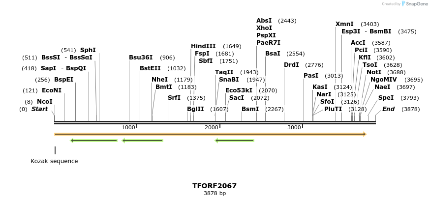 282140_map