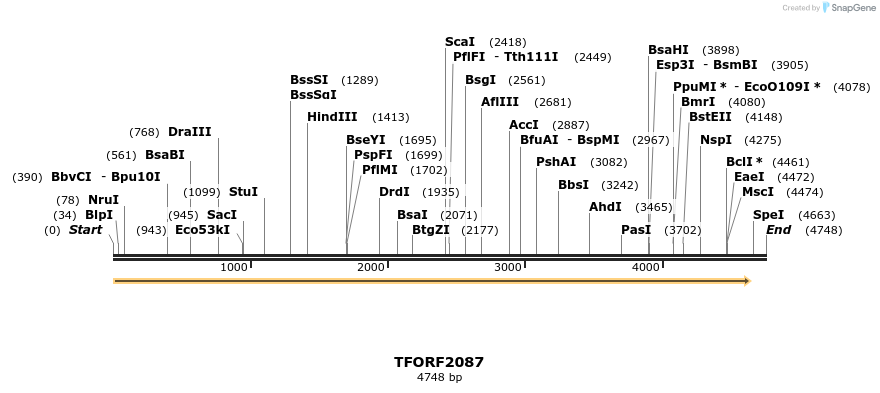282146_map