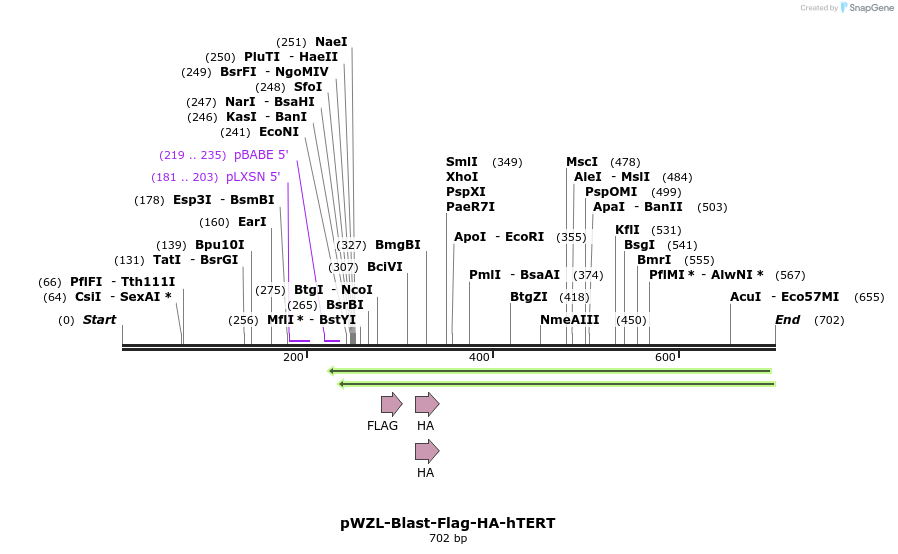 28215_map