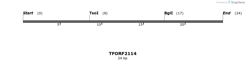 282156_map