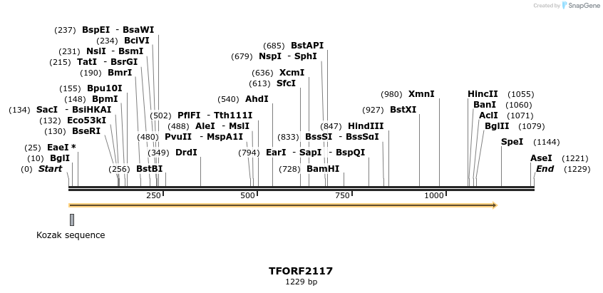 282158_map