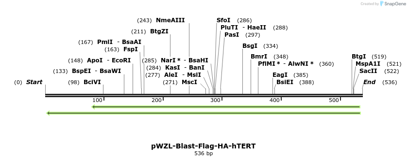 28216_map