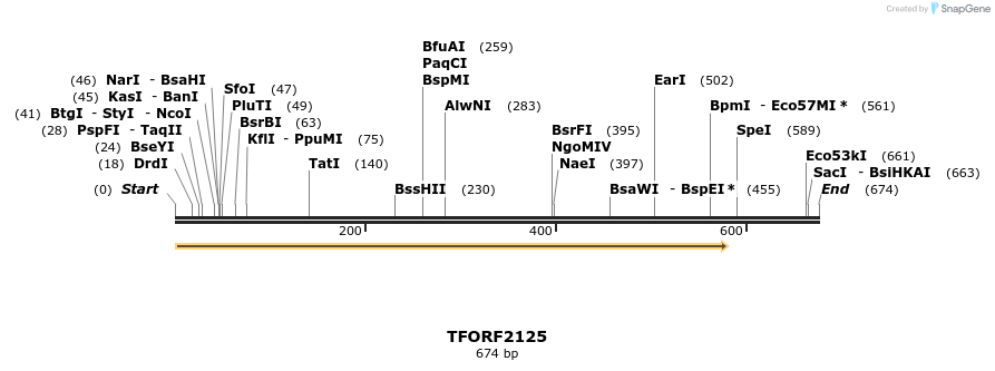 282161_map
