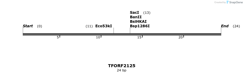 282162_map