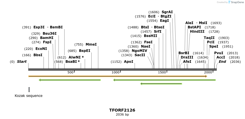 282164_map