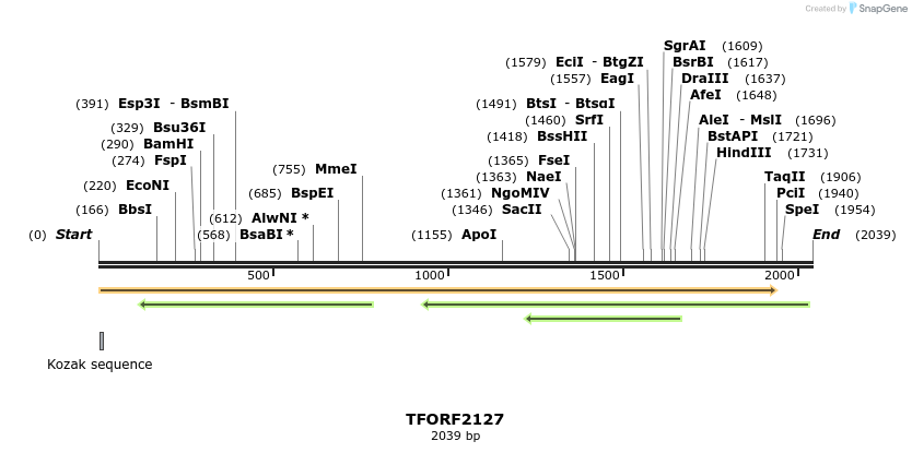 282167_map