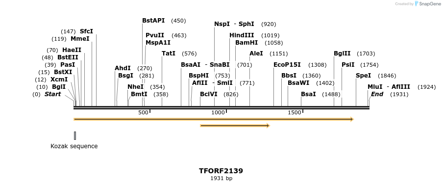 282170_map
