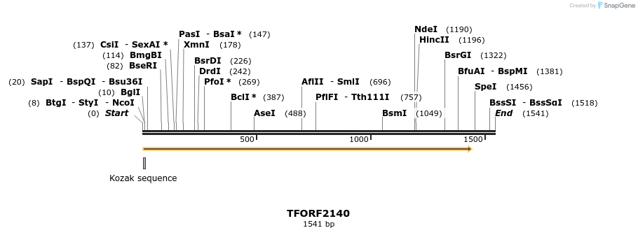 282173_map