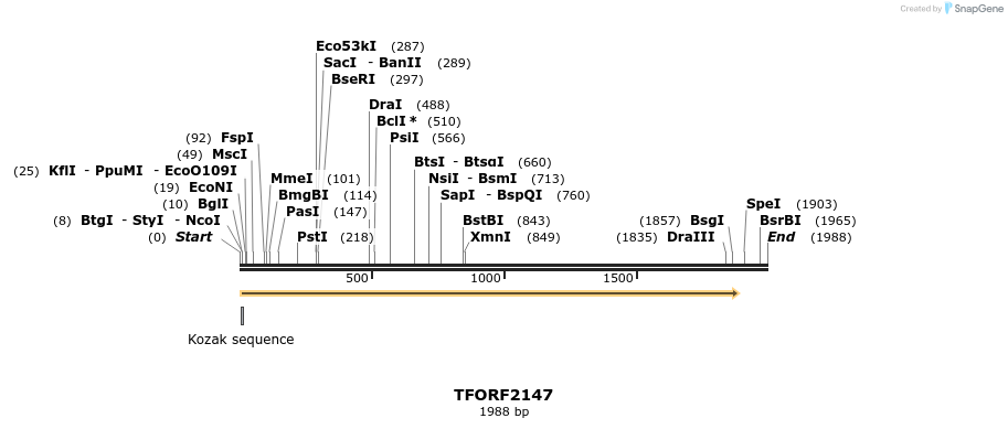282176_map