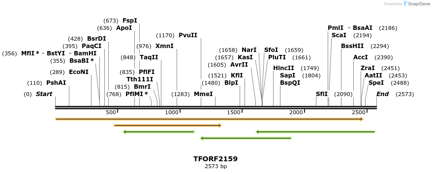 282179_map