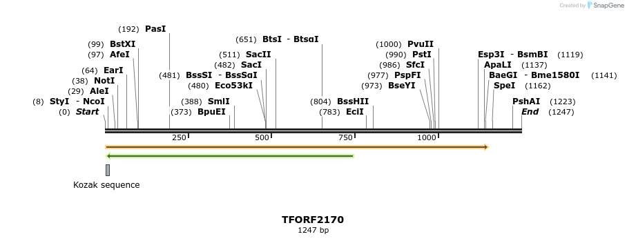 282182_map