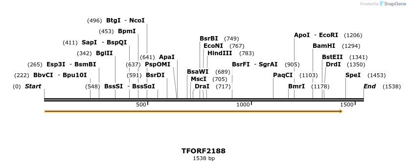 282188_map
