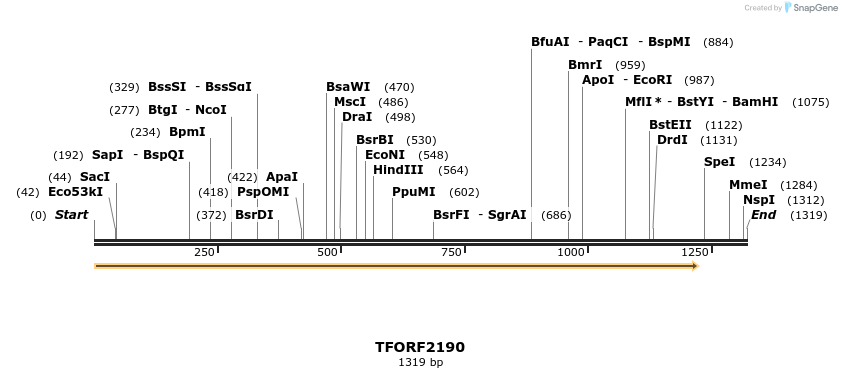282191_map