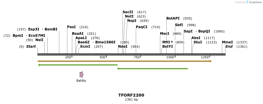 282194_map