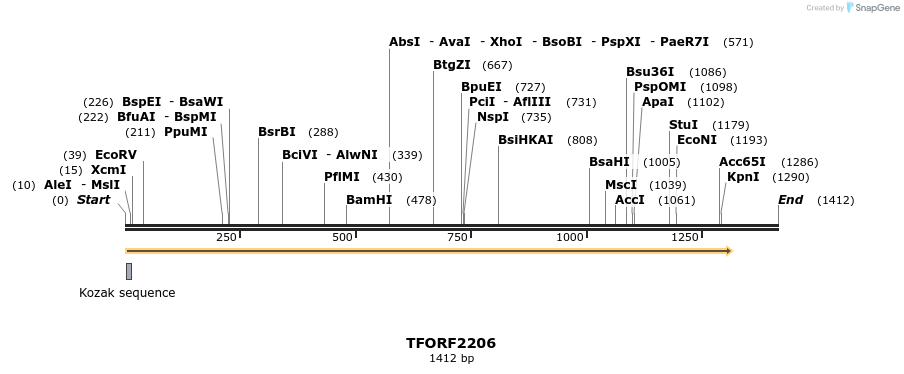 282197_map