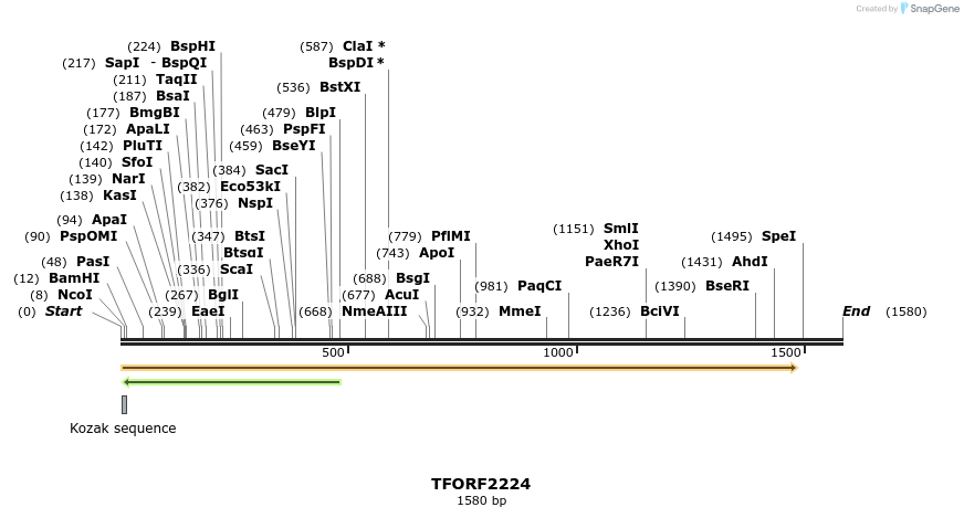 282203_map