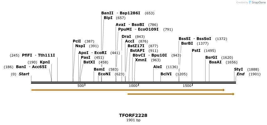 282206_map
