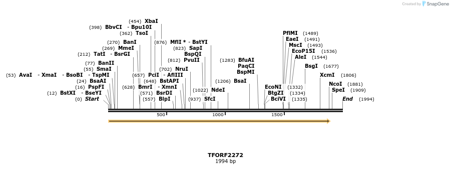 282215_map