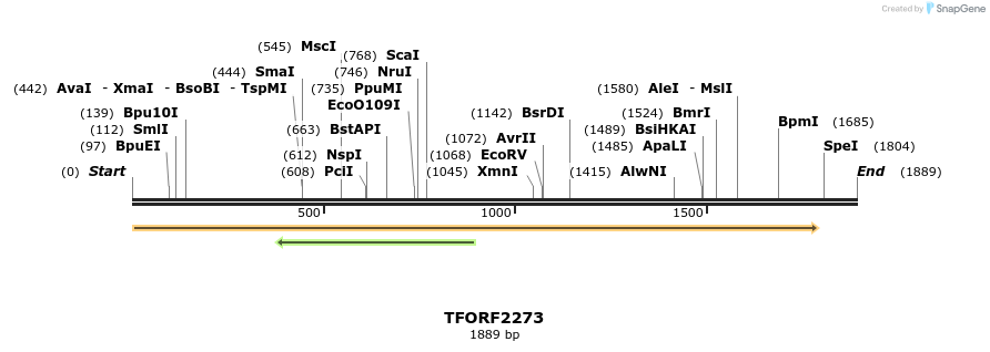 282218_map