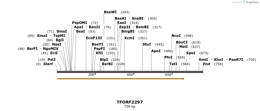 282221_map