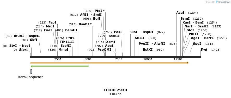 282224_map