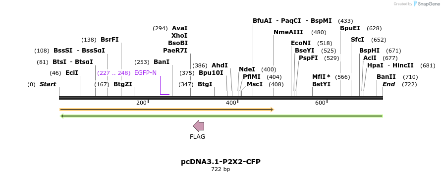28223_map