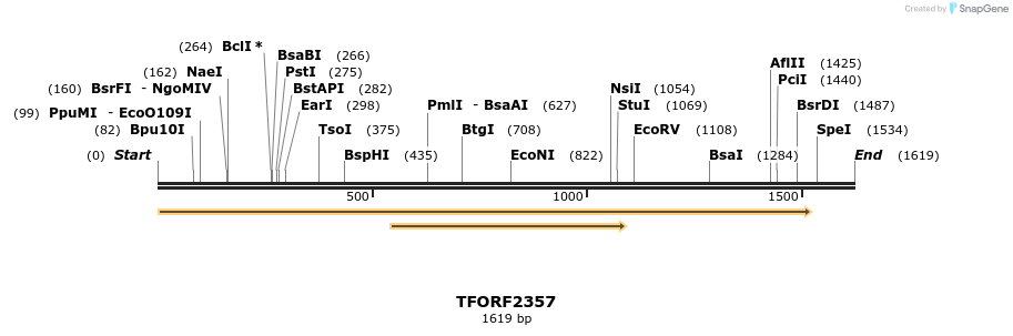 282230_map