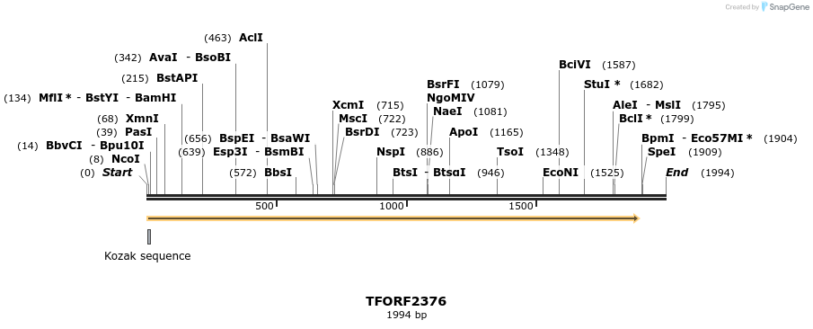 282233_map