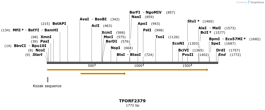 282236_map