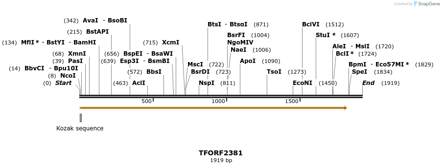 282239_map