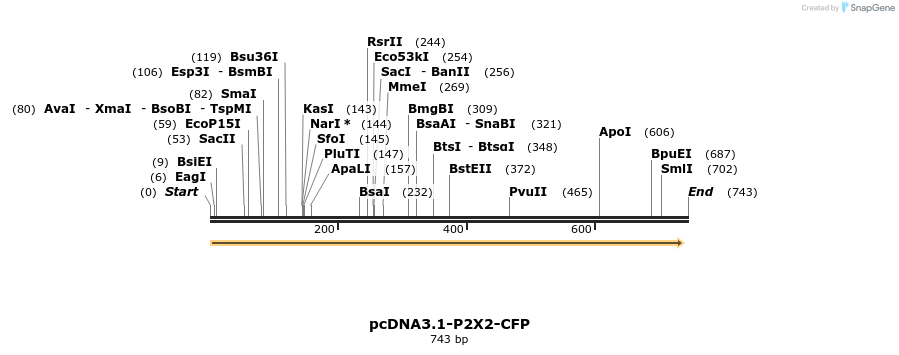 28224_map