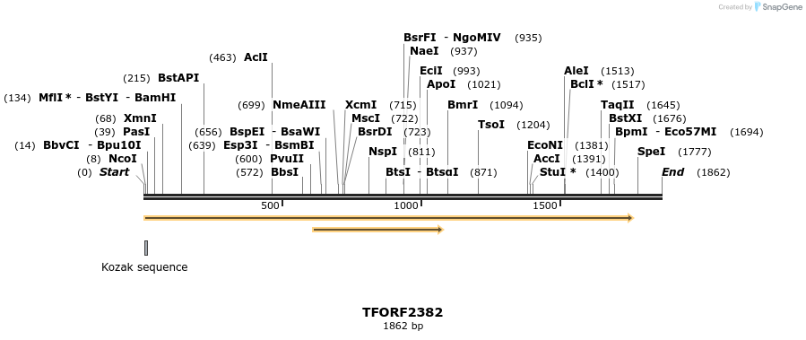 282242_map