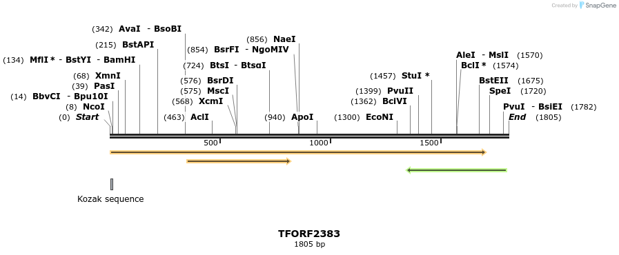 282245_map