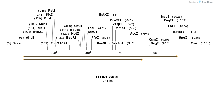 282248_map