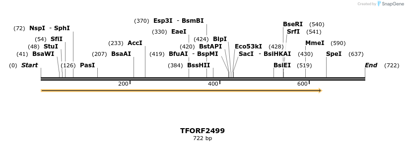 282251_map
